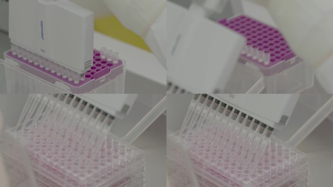 医学医疗实验检测化验10