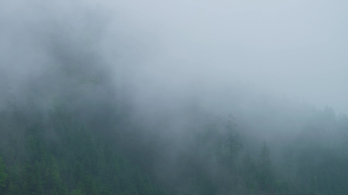 清晨大山里的云雾延时