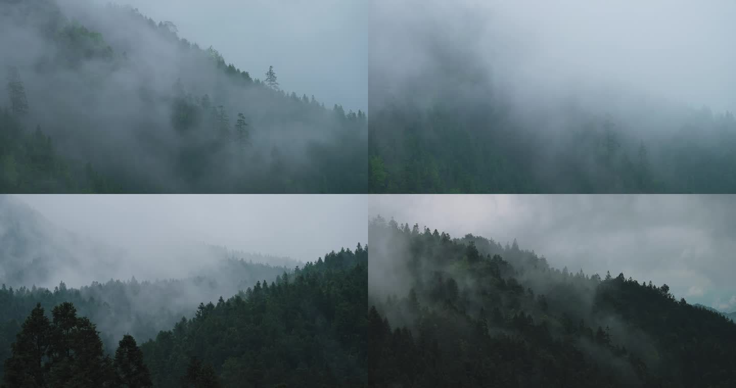 清晨大山里的云雾延时