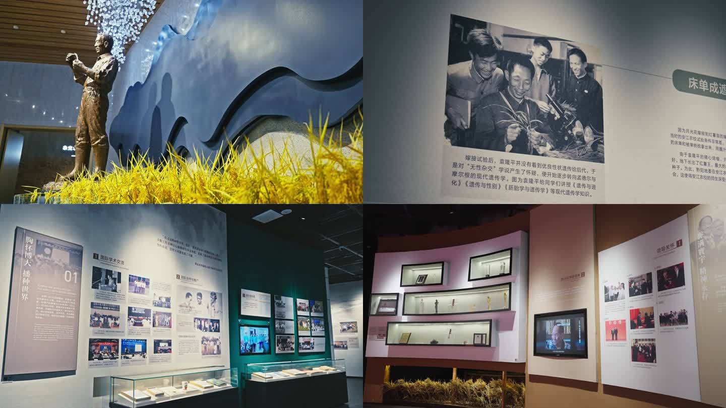 长沙隆平水稻博物馆