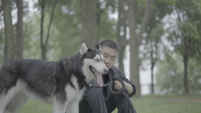 草地坐着抚摸狗狗