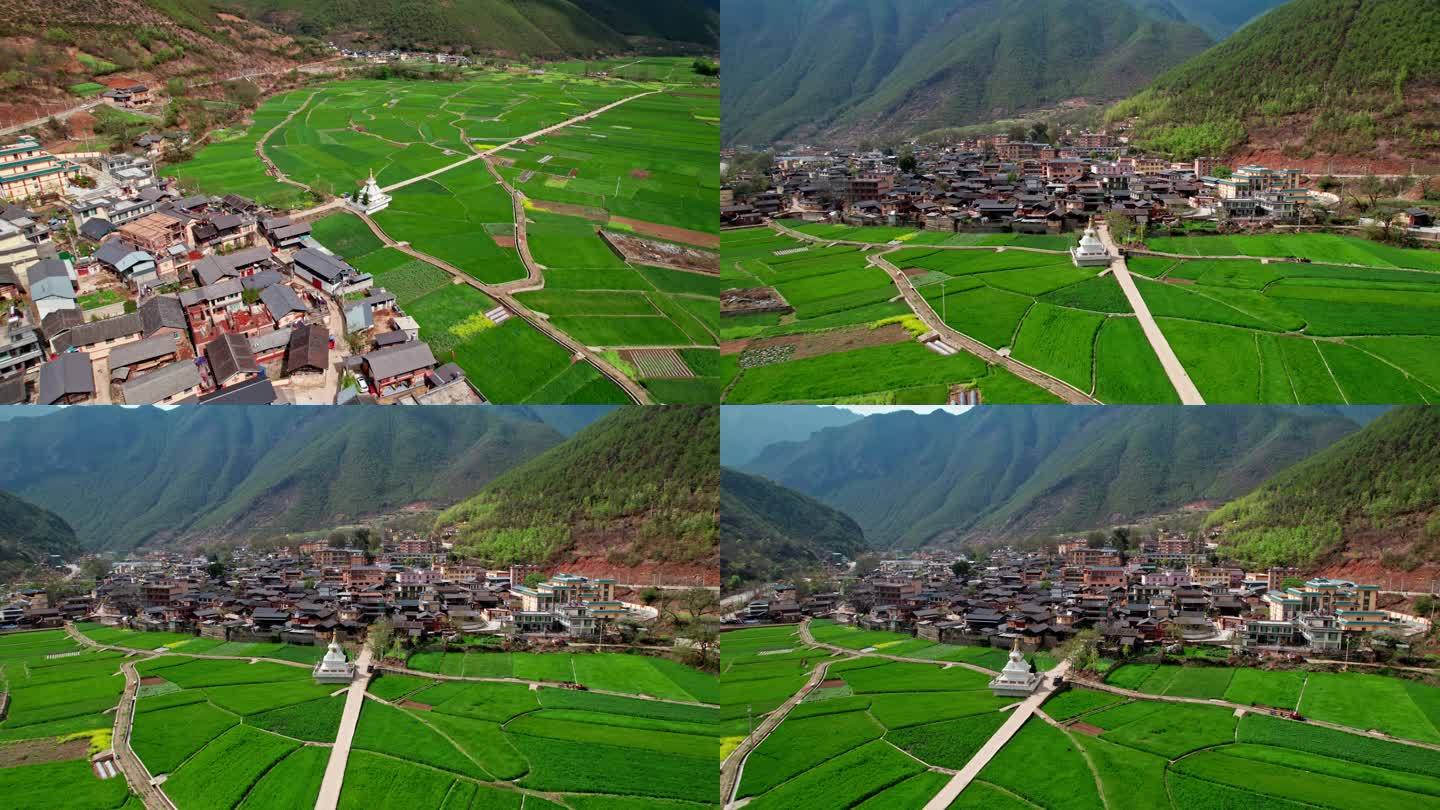 麦田下的塔城镇全貌藏族白塔