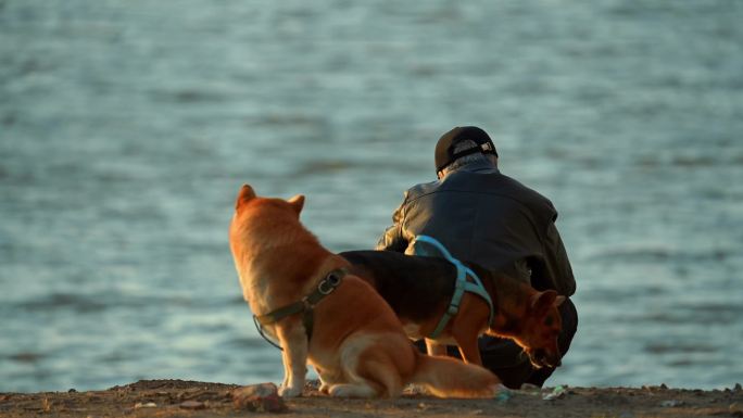 老人和狗孤独感海边情绪老龄化