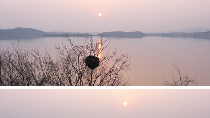 4k 航拍 夕阳下鸟类空景 湖中鸟类