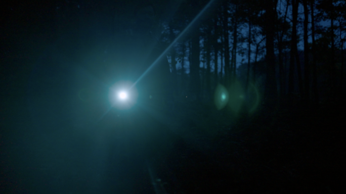 打着手电筒在树林走夜路