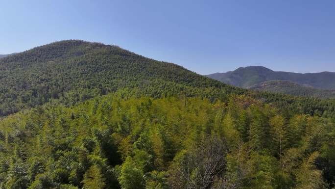 航拍宜兴阳羡生态旅游区宜兴竹海景区4