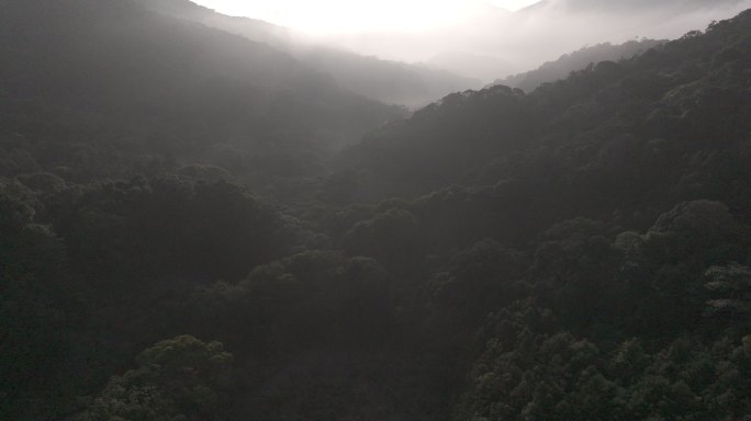 4K-Log-航拍海南热带雨林，尖峰岭