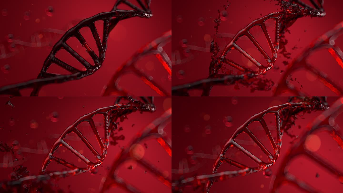 红色DNA分子修复视频