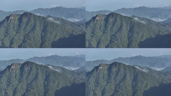 4K-Log-航拍海南热带雨林，尖峰岭