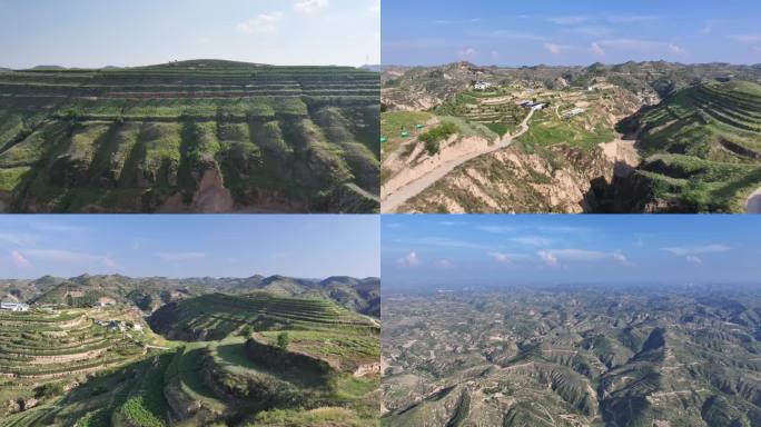 榆林子洲黄芪种植基地航拍