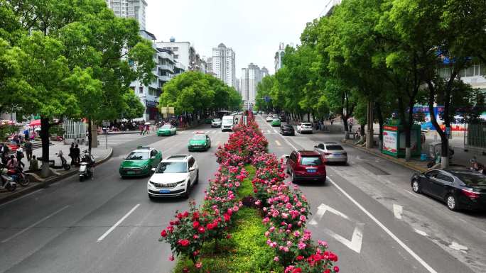 4K 航拍花开满凯里 城市道路交通2