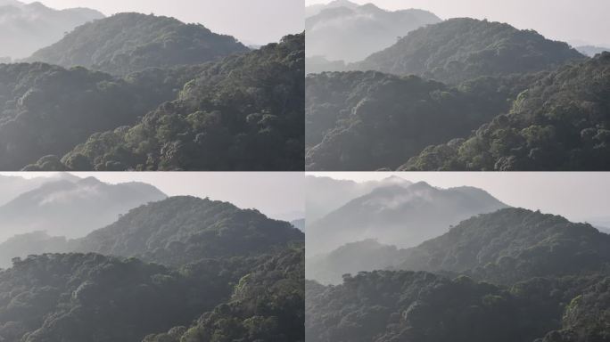 4K-Log-航拍海南热带雨林，尖峰岭