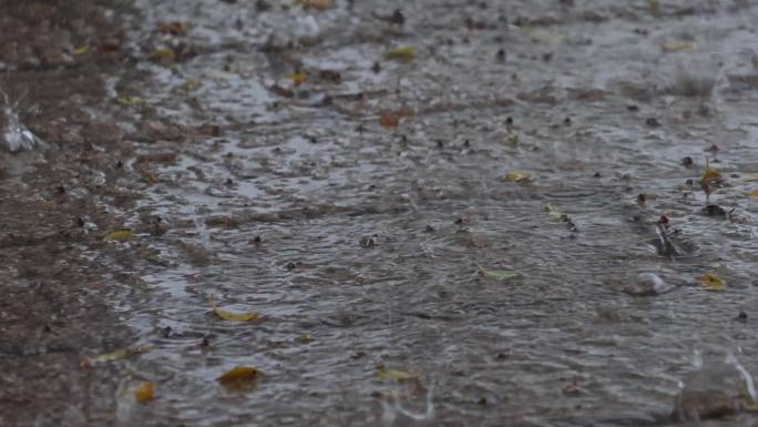 下雨天雨水大雨雨滴雨景合集