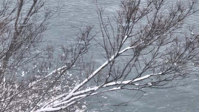 森林大雪·5