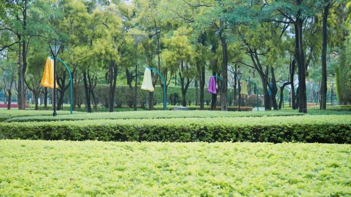 厦门雨后海湾公园