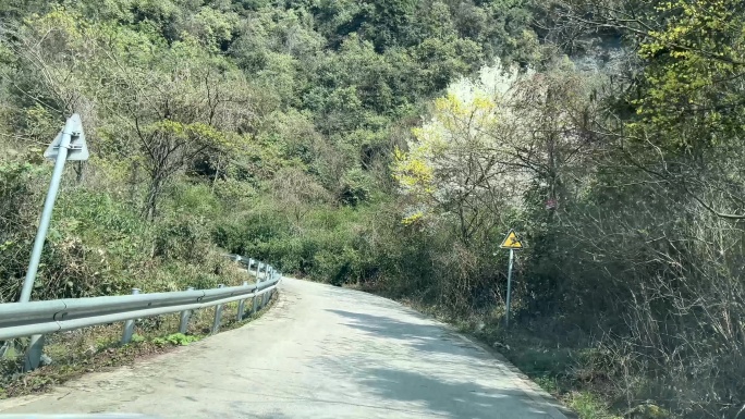 汽车行驶在春天里的盘山公路上