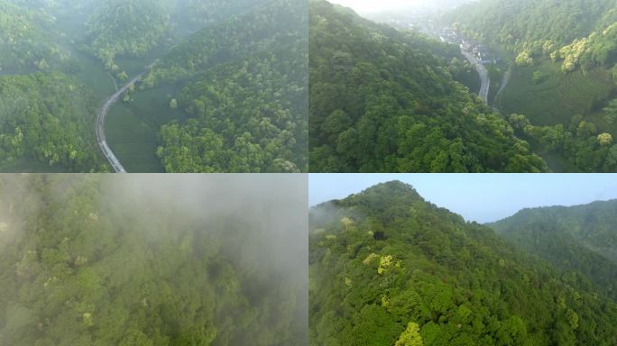 梅家坞梅灵南路