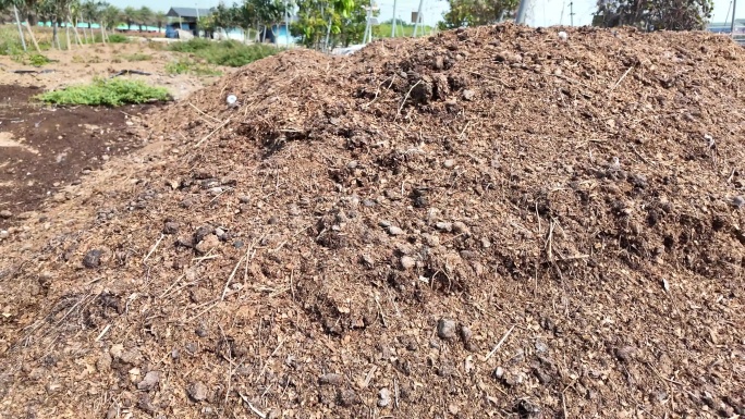 牛粪有机肥粪堆肥料
