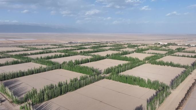 新疆哈密：大新疆的农田，就是这么美