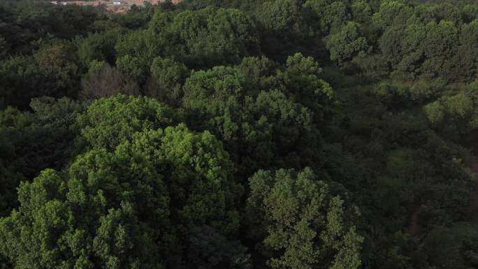 4k 航拍鄂州机场 好天气的早期建设画面
