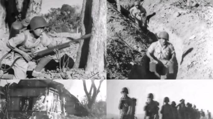 远征军 缅甸 克钦邦 八莫战役 抗日战争