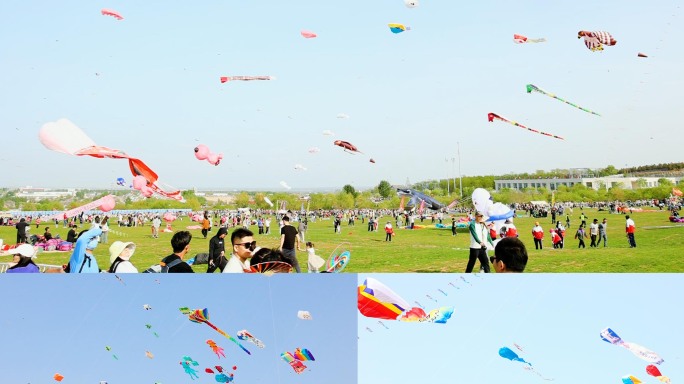 实拍潍坊风筝会