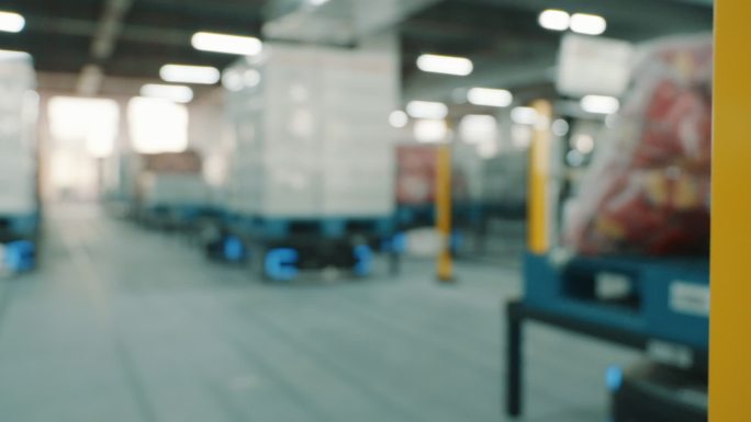 高科技人工智能物流仓库自动化柳州螺蛳粉