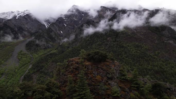 西藏 雪山 纳木错 圣象天门  森林