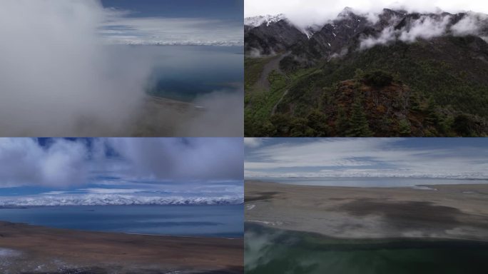 西藏 雪山 纳木错 圣象天门  森林