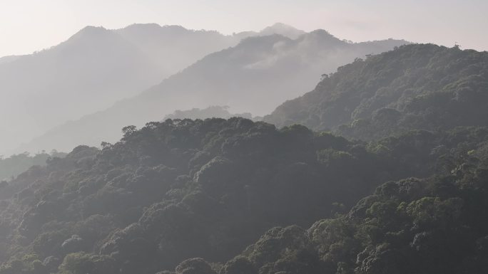 4K-Log-航拍海南热带雨林，尖峰岭