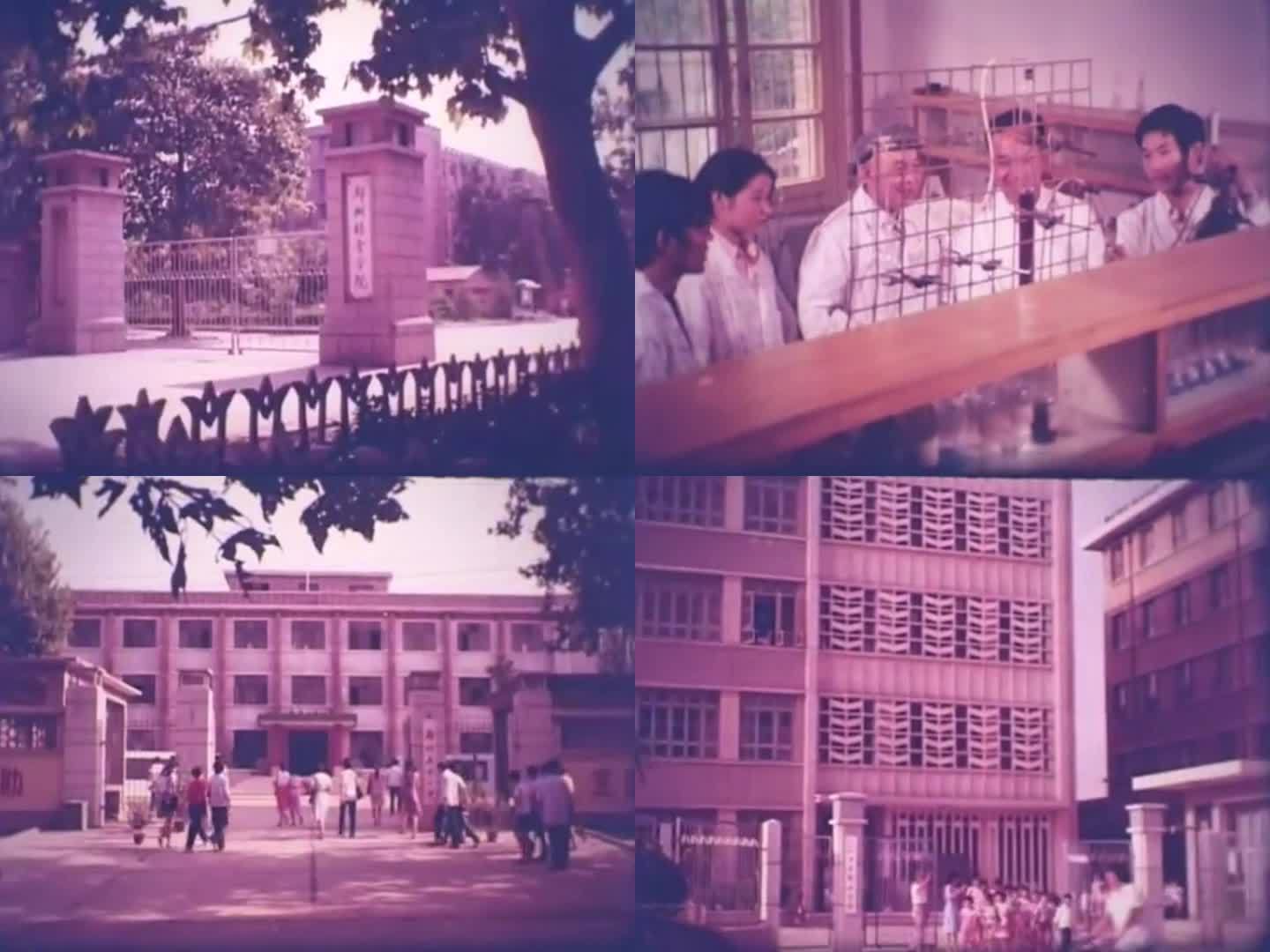 80年代初 郑州的大专院校与幼儿教育