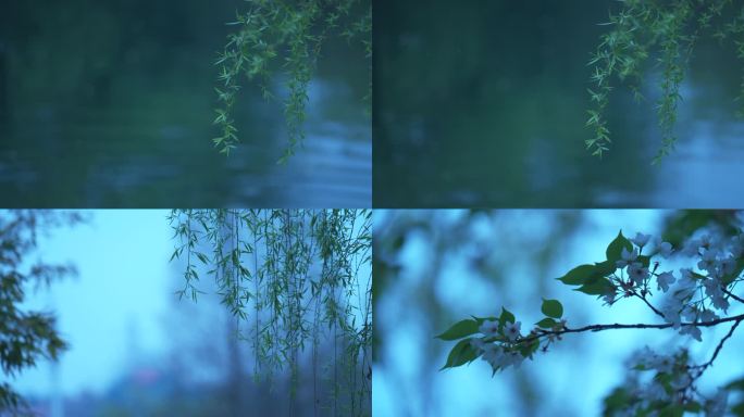 【原创】4K清明空镜谷雨24节气下雨思念