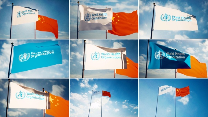 世界卫生组织旗帜飘扬世卫组织旗帜