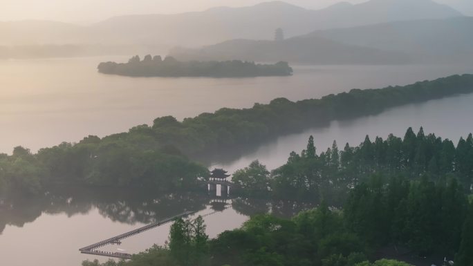 杭州西湖曲院风荷清晨风光