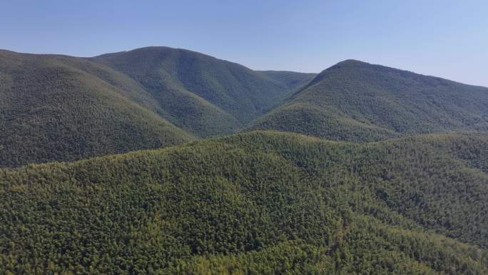 宜兴阳羡生态旅游区宜兴竹海景区合集2