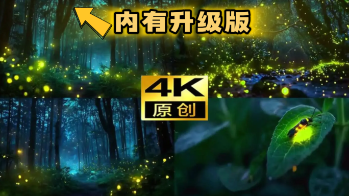 萤火虫夏天森林美景唯美意境夏夜处暑节气