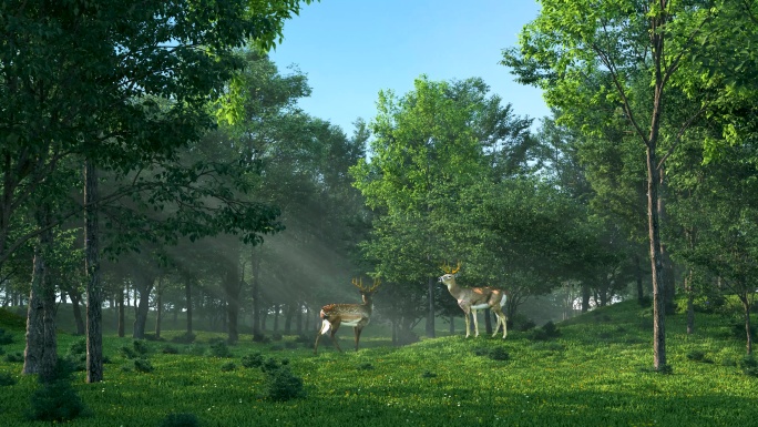 森林小鹿清晨光线绿色生态大自然森林氧吧