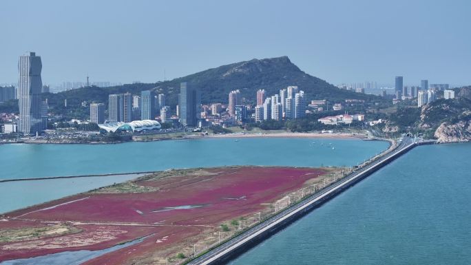 鸥鹭海边飞翔 红海滩 碱蓬草 23