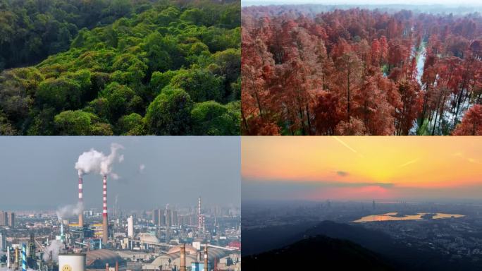 绿色低碳、环保、丛林、污染、碳中和、能源