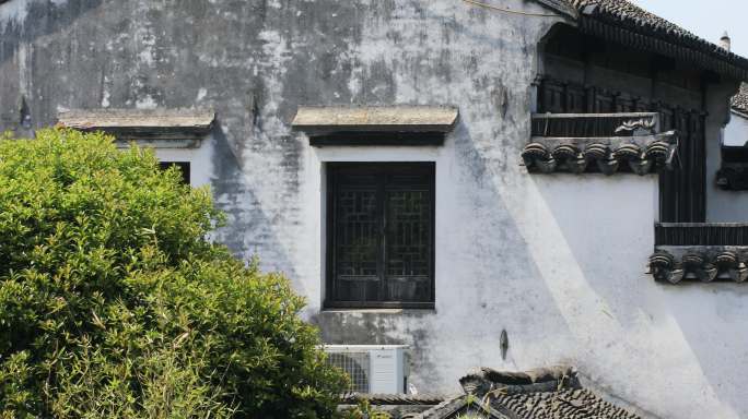 春天阳光江南水乡太仓沙溪民居建筑