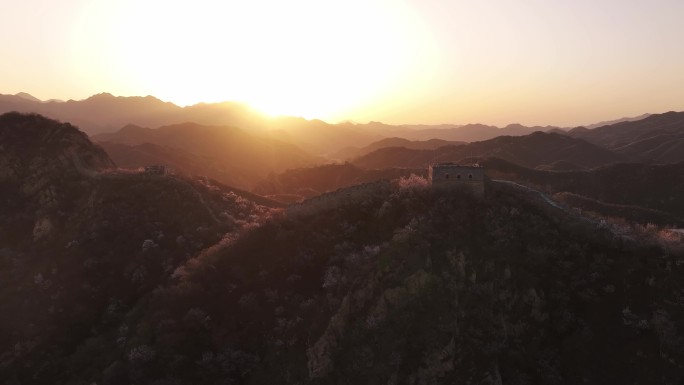 春天长城花开满山日出长城