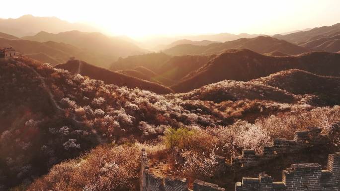 春天长城花开满山日出长城