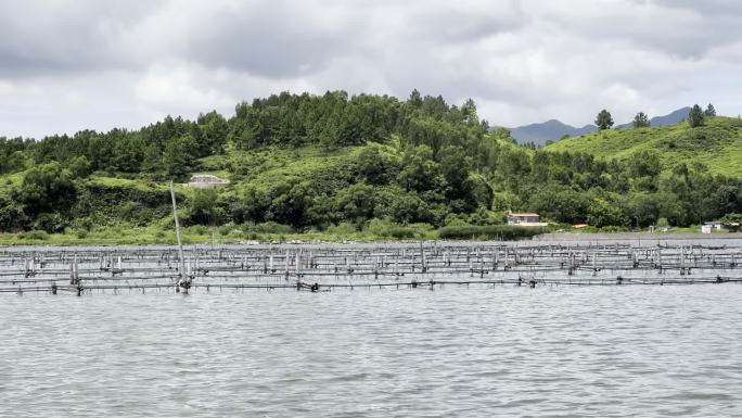 湿地渔村捕鱼蚝乡