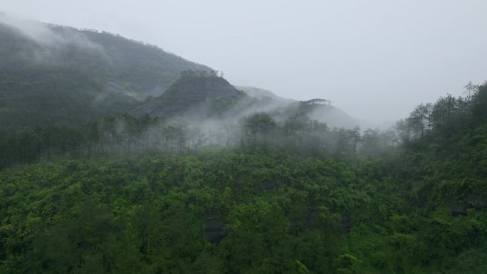 山中大雨雨季阴雨连绵