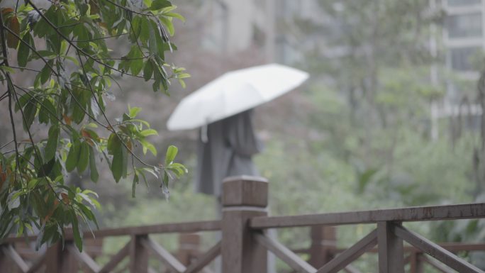 雨中打伞玩手机等人