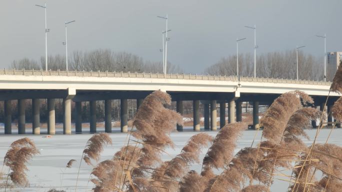 桥 结冰的河面 芦苇