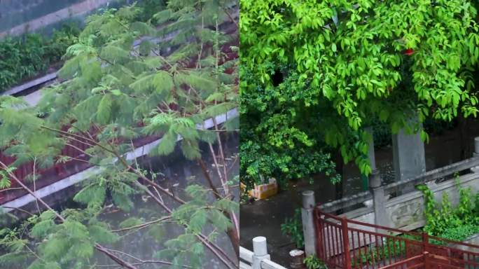 竖屏夏季暴雨时阳台和街道河流场景