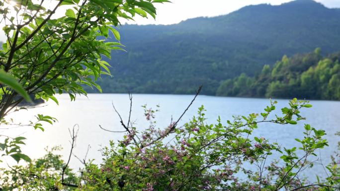 春天的仙居西岙水库