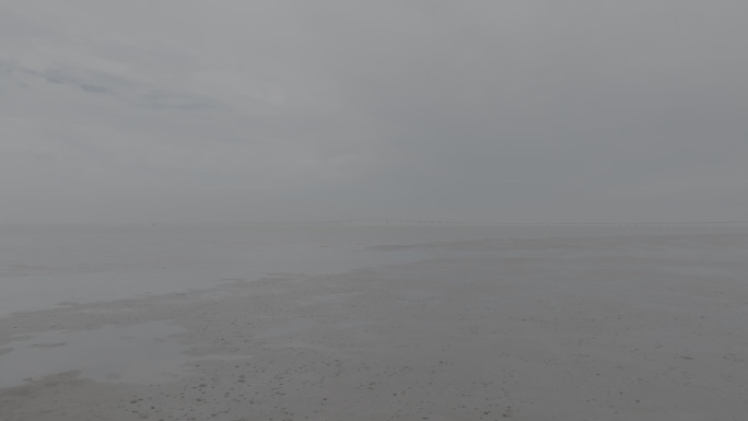 晨雾中的滩涂崇明岛大桥4K航拍log素材