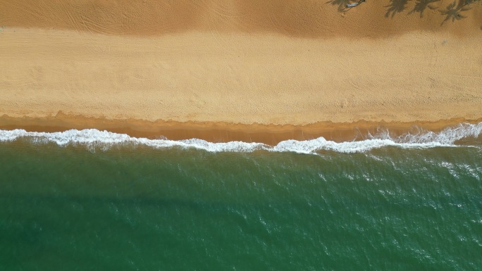 大海海浪 海洋沙滩慢镜头浪潮 海边椰子树